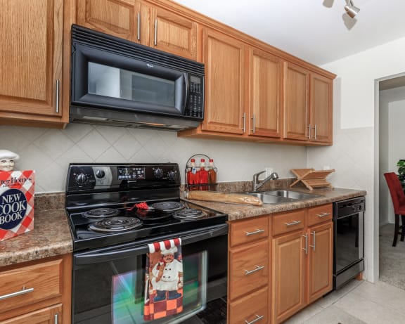 Photo Gallery Image