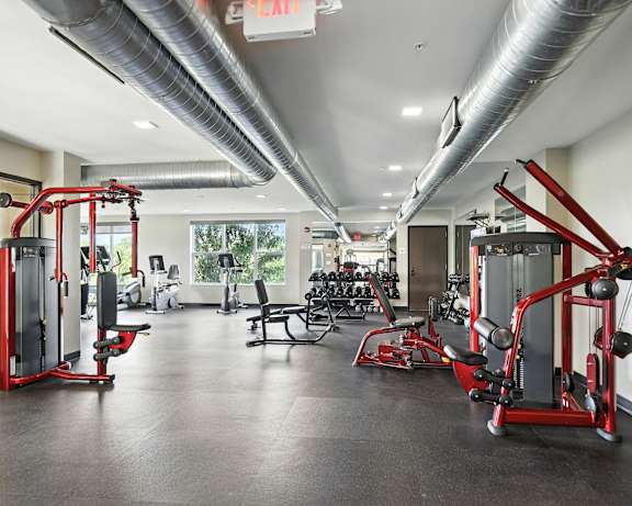 Photo Gallery Image