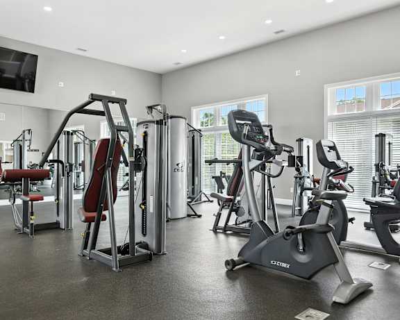 Photo Gallery Image