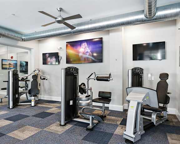 Photo Gallery Image