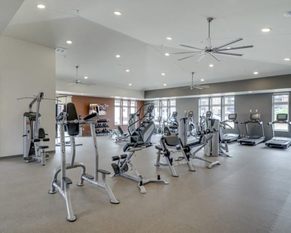 Photo Gallery Image