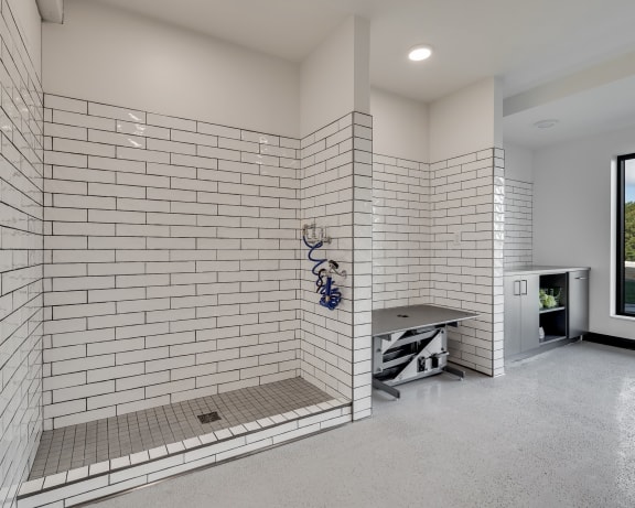 Photo Gallery Image