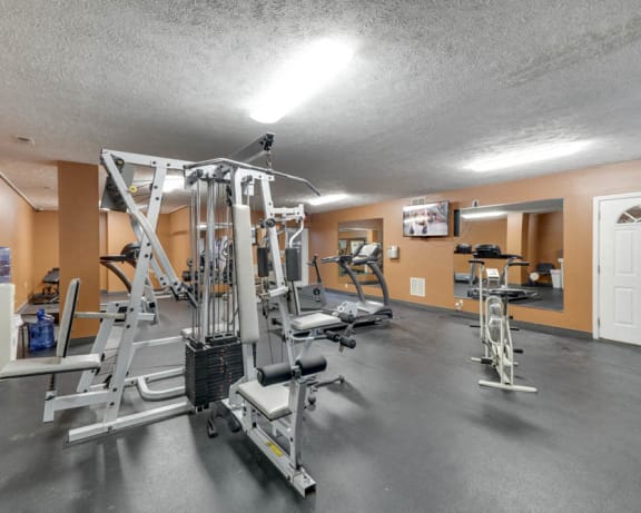 Photo Gallery Image