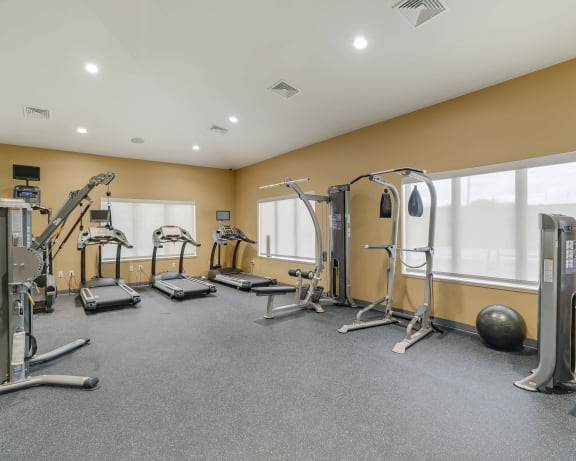 Photo Gallery Image
