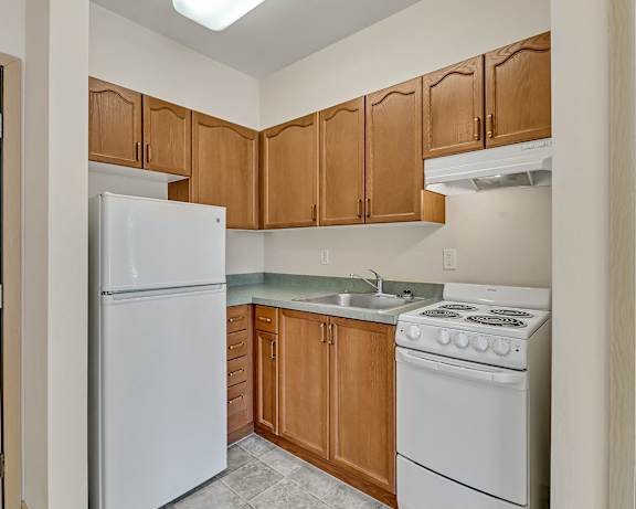 Photo Gallery Image