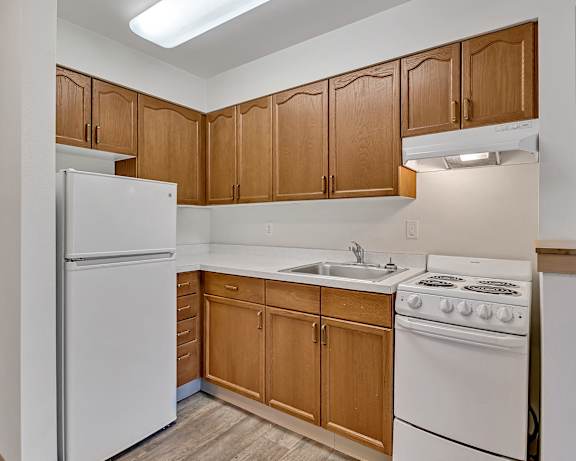 Photo Gallery Image
