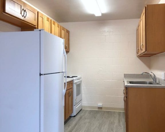 Photo Gallery Image