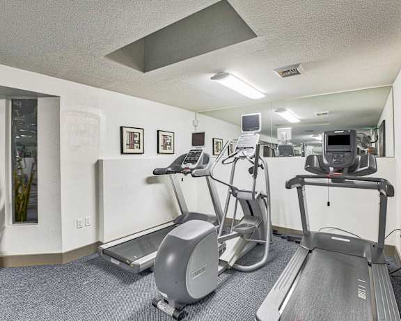 Photo Gallery Image