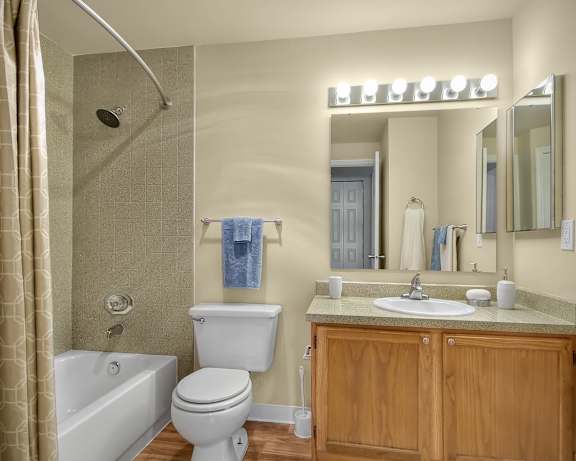 Photo Gallery Image