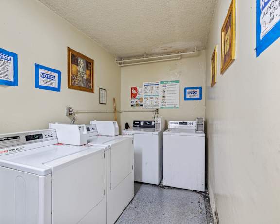 Photo Gallery Image