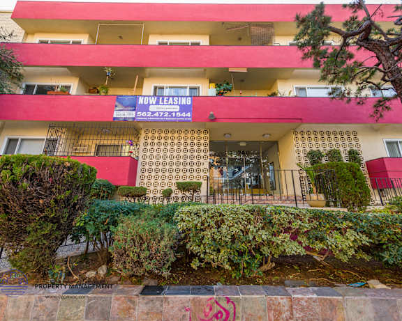 Photo Gallery Image
