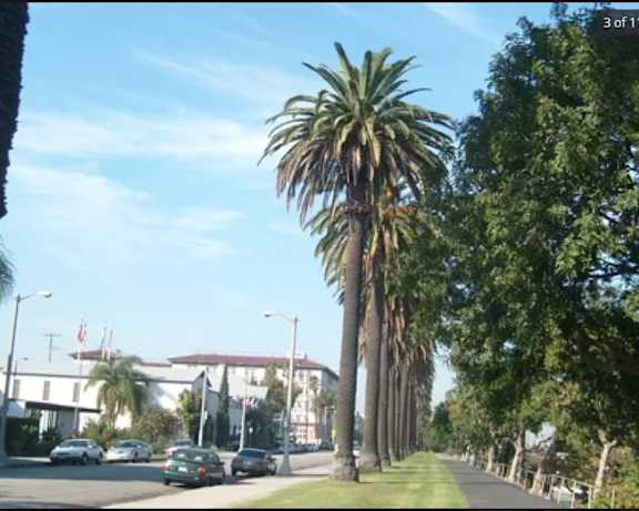 Photo Gallery Image