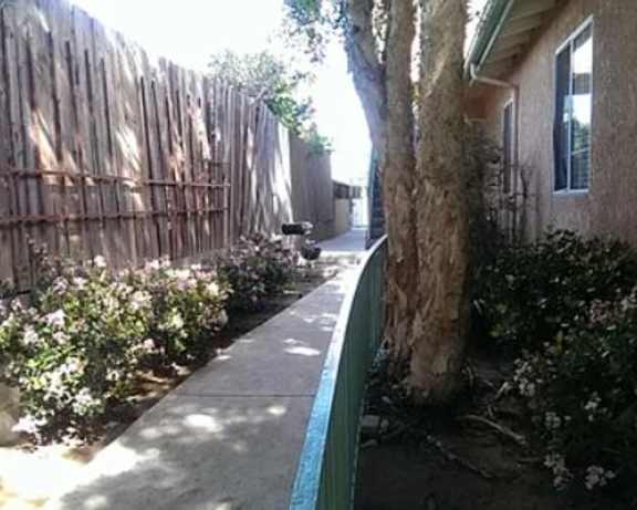 Photo Gallery Image