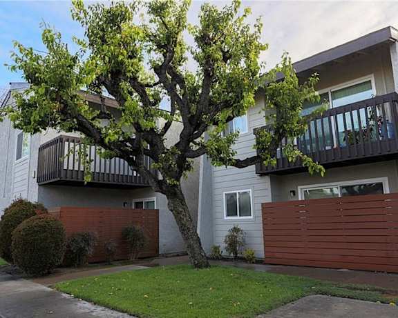 Photo Gallery Image