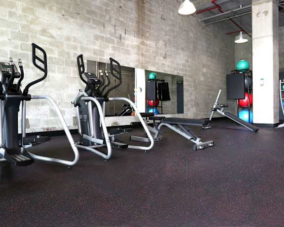 Photo Gallery Image