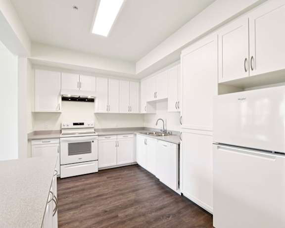 Photo Gallery Image