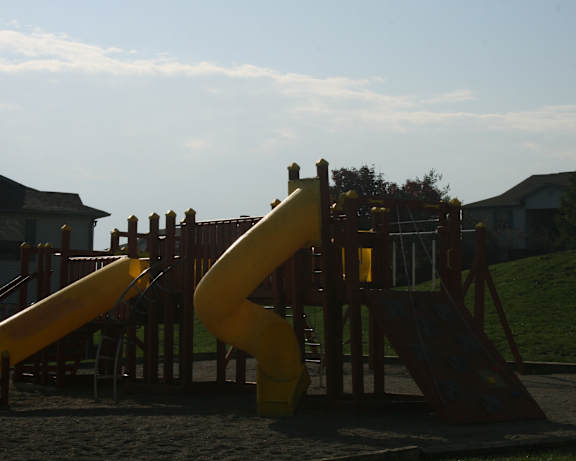 Photo Gallery Image