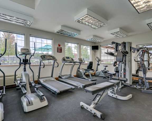 Photo Gallery Image