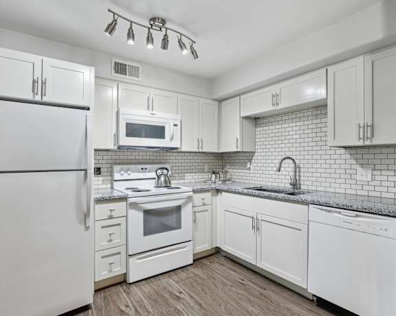 Photo Gallery Image