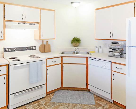 Photo Gallery Image