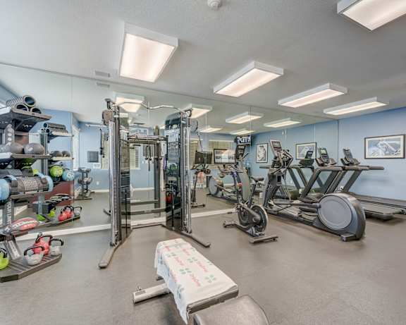 Photo Gallery Image
