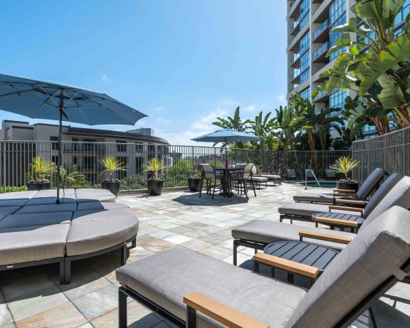 Photo Gallery Image
