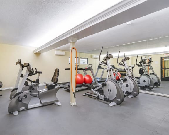 Photo Gallery Image
