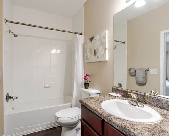 Photo Gallery Image