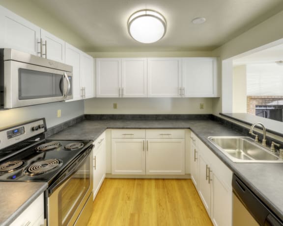 Photo Gallery Image