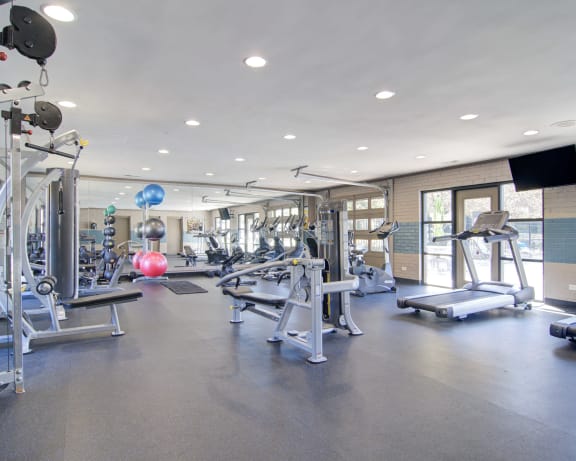 Photo Gallery Image
