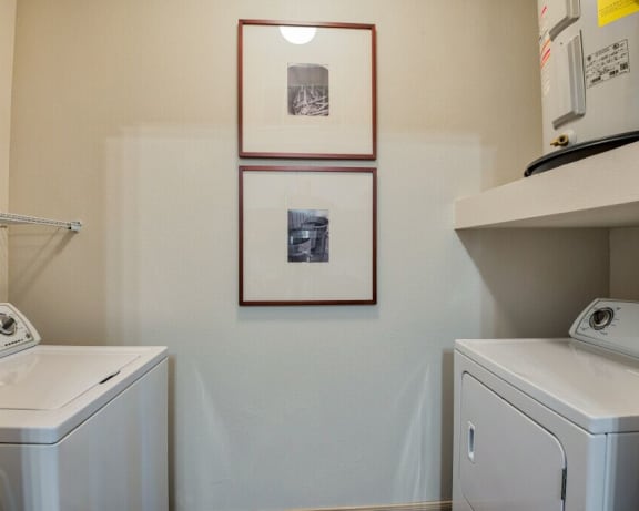 Photo Gallery Image