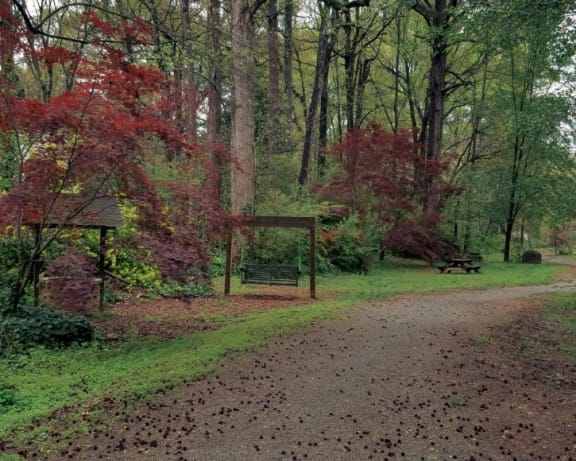 Photo Gallery Image