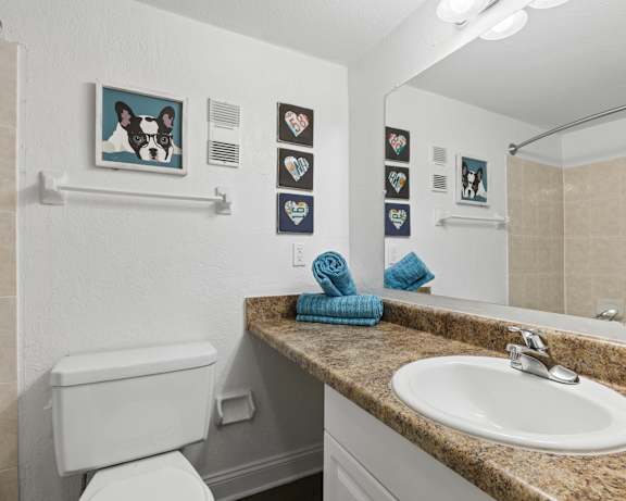 Photo Gallery Image