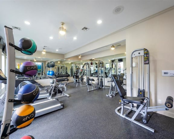 Photo Gallery Image
