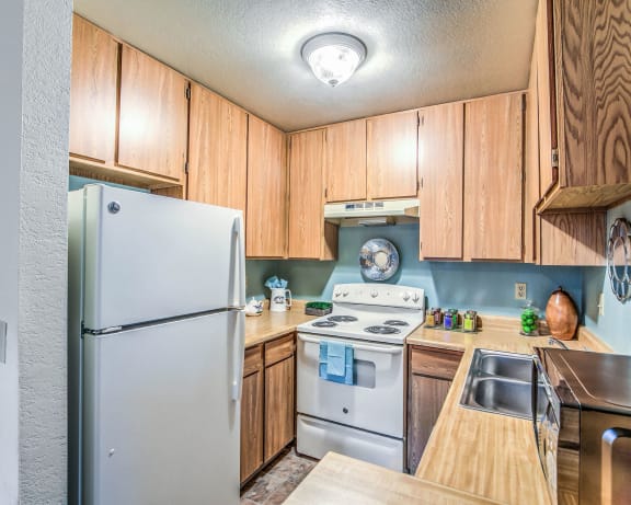 Photo Gallery Image