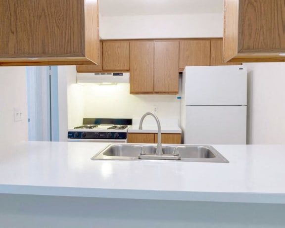 Photo Gallery Image
