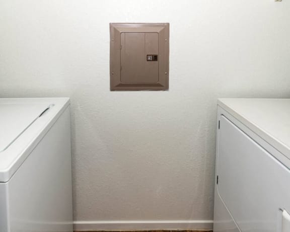 Photo Gallery Image