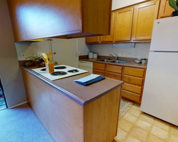 Photo Gallery Image