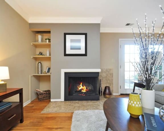 Photo Gallery Image
