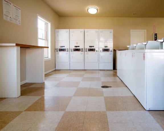 Photo Gallery Image