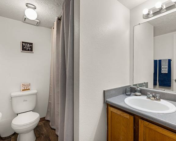 Photo Gallery Image