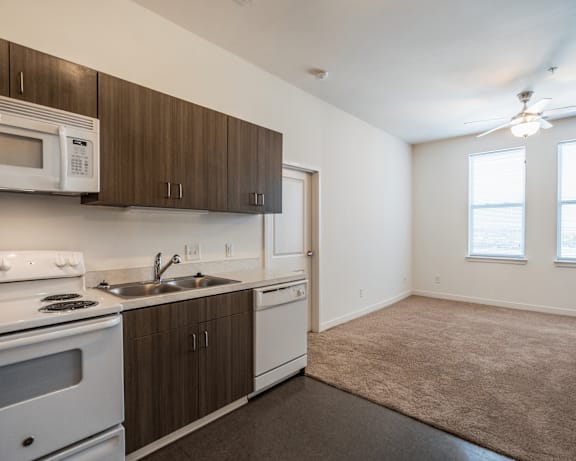 Photo Gallery Image