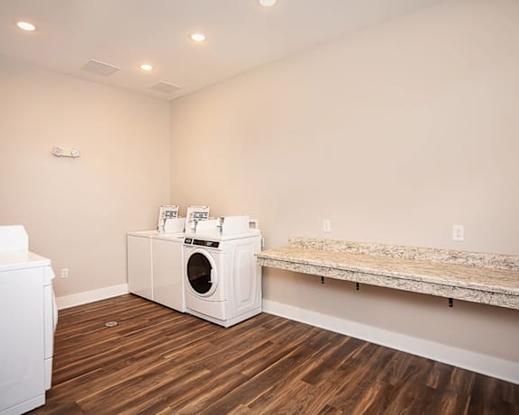 Photo Gallery Image