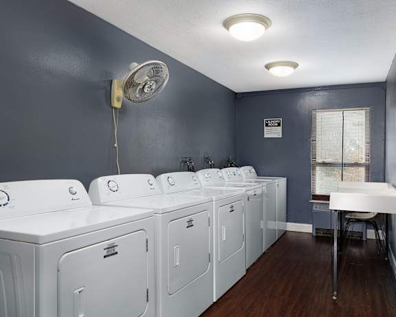 Photo Gallery Image
