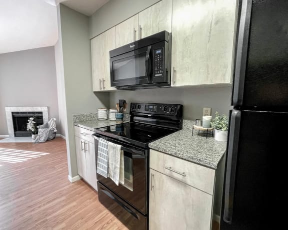 Photo Gallery Image