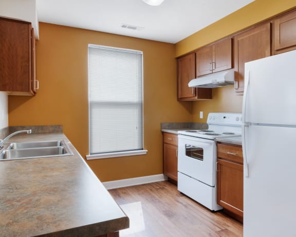 Photo Gallery Image