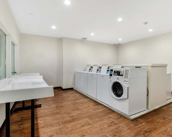 Photo Gallery Image