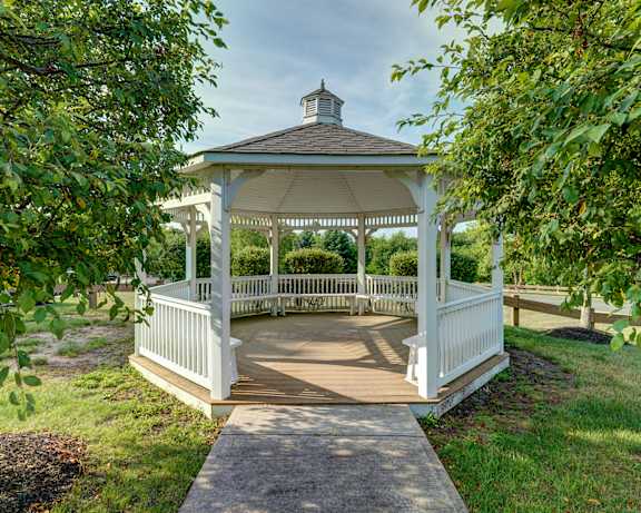 Photo Gallery Image