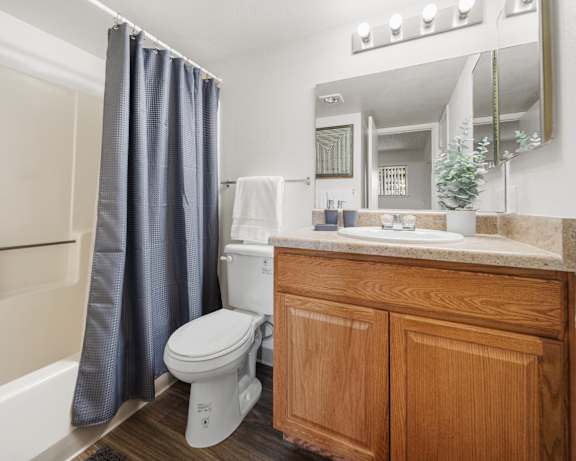 Photo Gallery Image