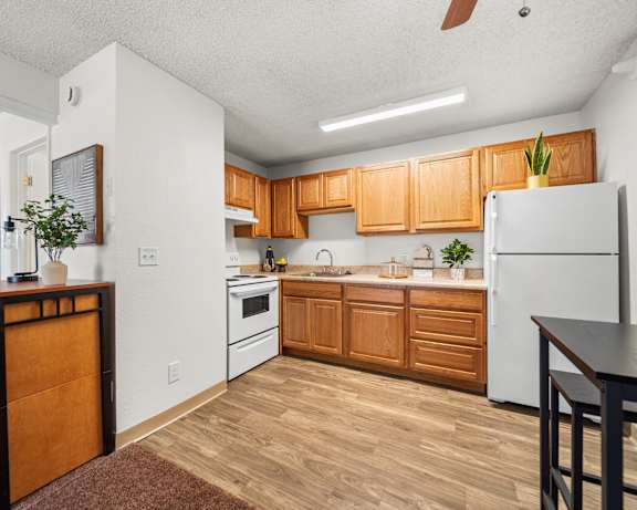 Photo Gallery Image